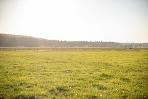 14661283