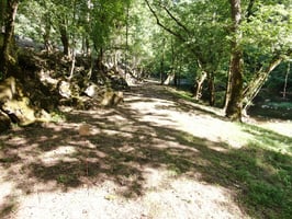9768351