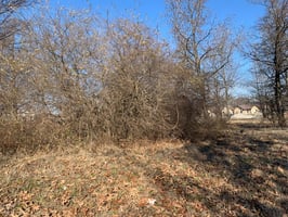 20758647