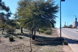 9800626