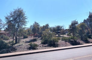 9800623