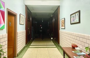 33904058