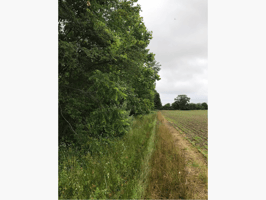 9811284