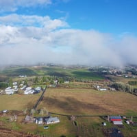 9894760