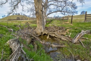 12381710