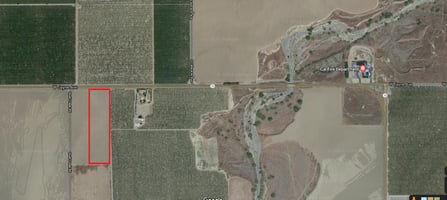 9918664