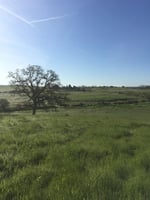 9977032