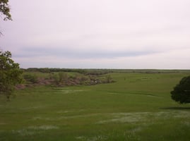 9977038