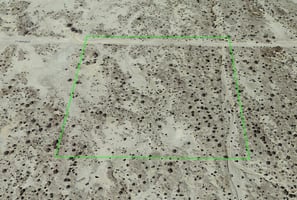 10007562