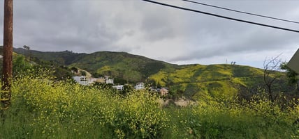 10007848
