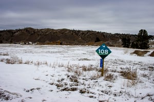 10036798