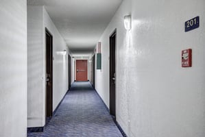 29618559