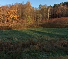 10146777
