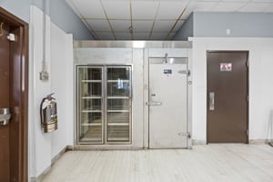 29546141