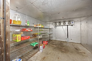 29546131
