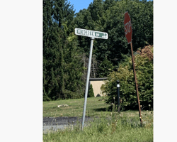 10171910