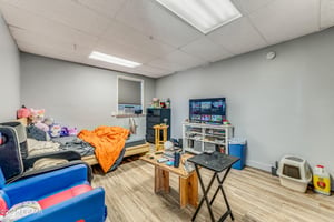 23821030