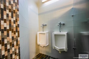 10203459