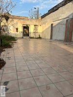 10204677