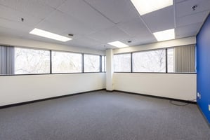 31643123
