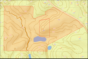 10300965