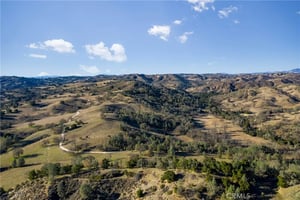 30757647