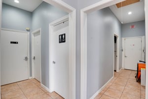 10596233