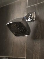 31255393