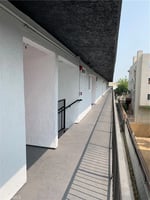 31255401