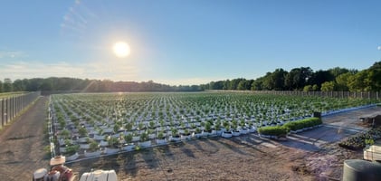 10356498