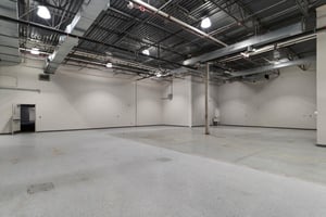 12223619