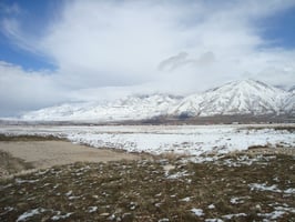 10888584