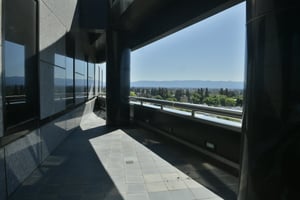10594456