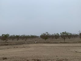 10597920