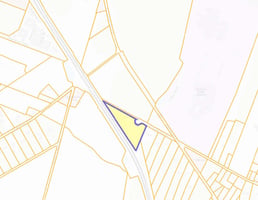 10647629
