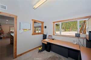 32905241