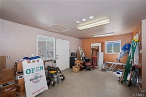 32905232