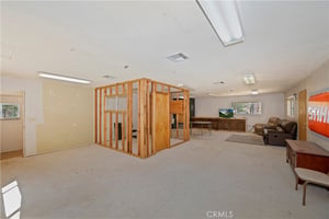 32905269