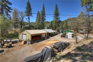 32905229