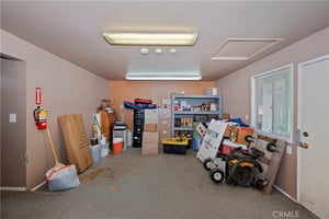 32905231
