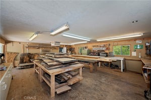 32905261