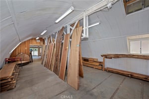 32905236