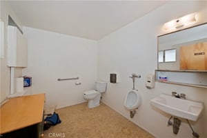 32905272