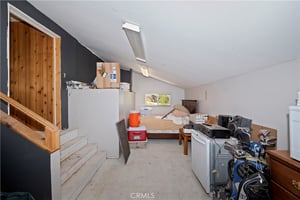 32905264