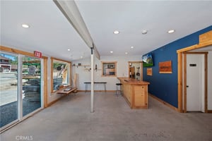 32905258