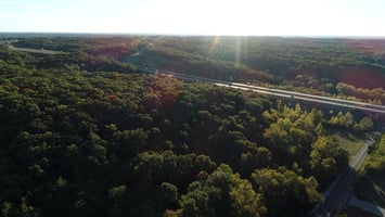 24696261