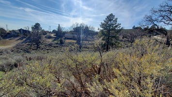 10778246