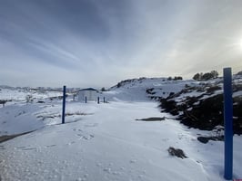 10797248