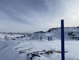 10797231