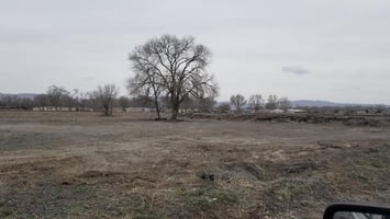 10827494